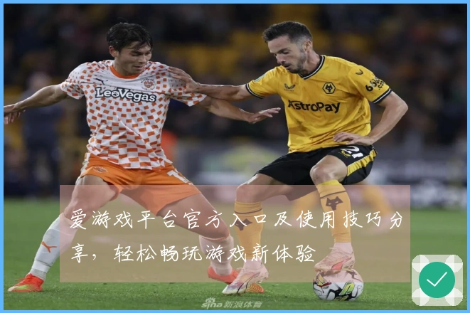 爱游戏平台官方入口及使用技巧分享，轻松畅玩游戏新体验