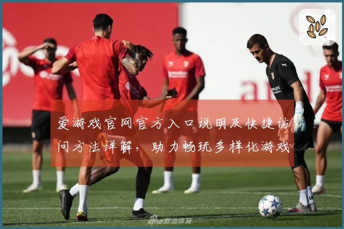 爱游戏官网官方入口说明及快捷访问方法详解，助力畅玩多样化游戏体验